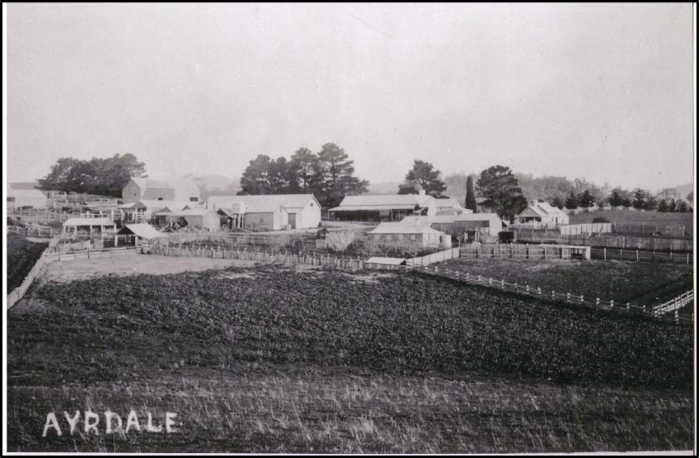 Ayrdale Station, Candelo, New South Wales — Est. 1846